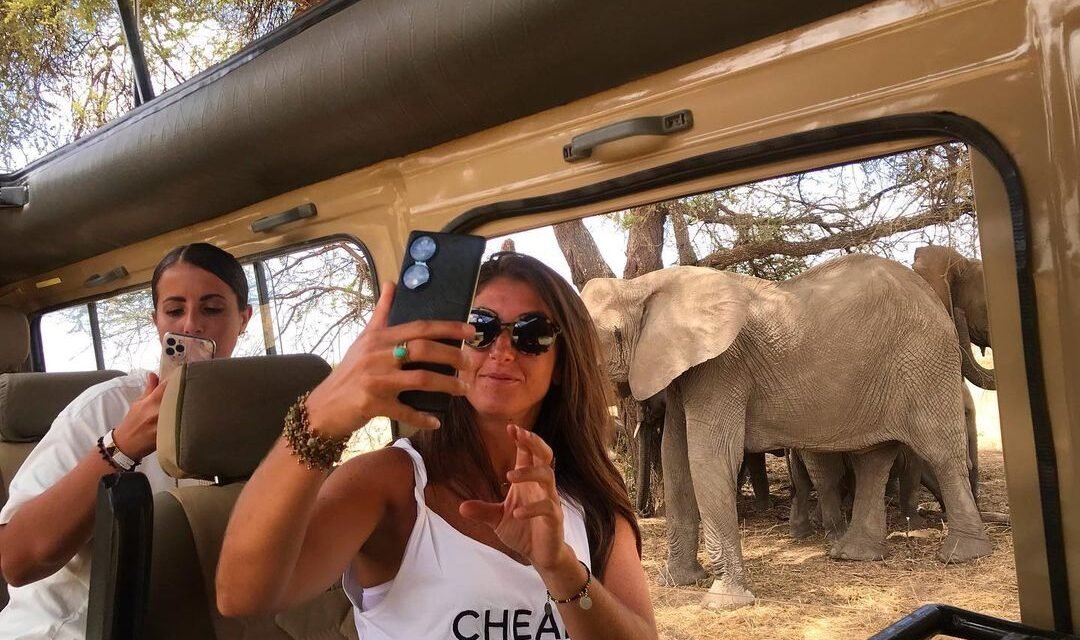 1 Day Ngorongoro Crater Safari, Best Short Tour Trip From Arusha 2026,2027