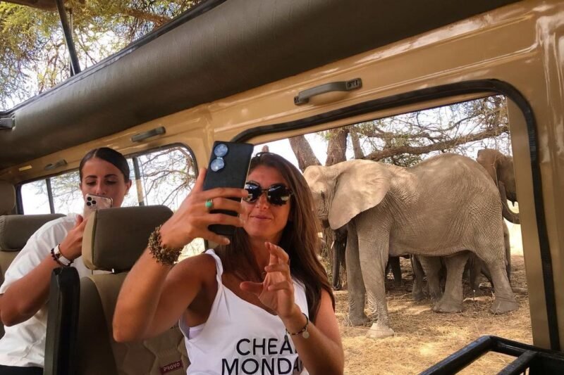 1 Day Ngorongoro Crater Safari, Best Short Tour Trip From Arusha 2026,2027