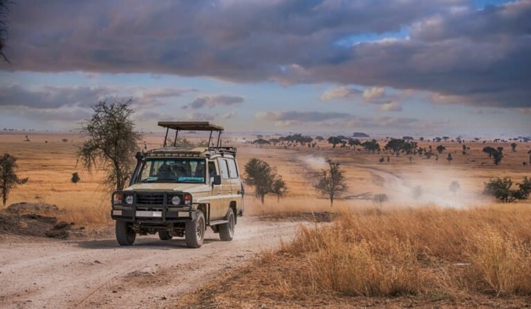 Best Time to Visit Katavi National Park