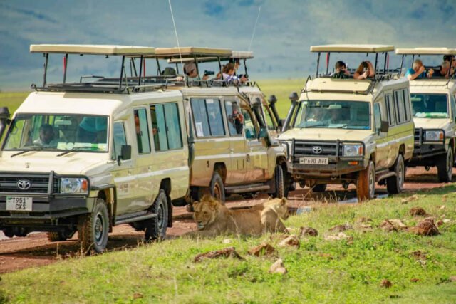 Lake Natron Flamingo Tour From Moshi: Complete Guide 2026-2027-2028