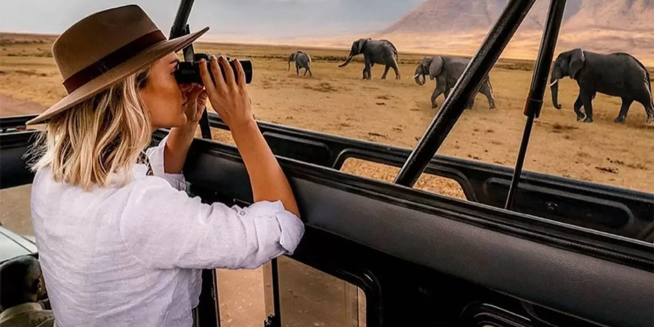 12 Days Luxury Tanzania Safari Package Cost & Planning For 2026-2027