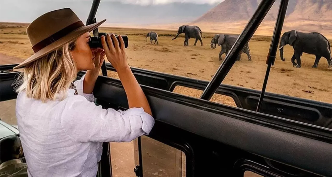 12 Days Luxury Tanzania Safari Package Cost & Planning For 2026-2027