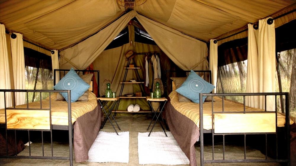 12 Days Luxury Tanzania Safari Package Cost & Planning For 2026-2027