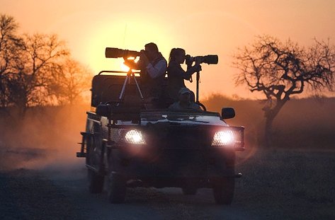 Tanzania Private Safari Tours