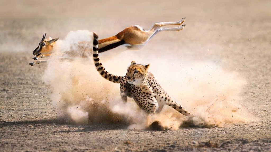 Join Group 5 Days Tarangire, Serengeti (2 Nights) And Ngorongoro From Moshi 2026