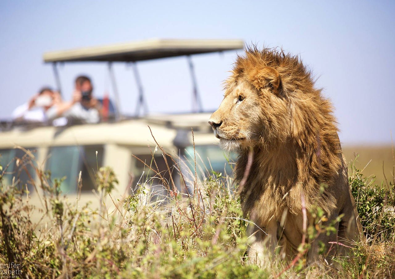 Join Group 5 Days Tarangire, Serengeti (2 Nights) And Ngorongoro From Moshi