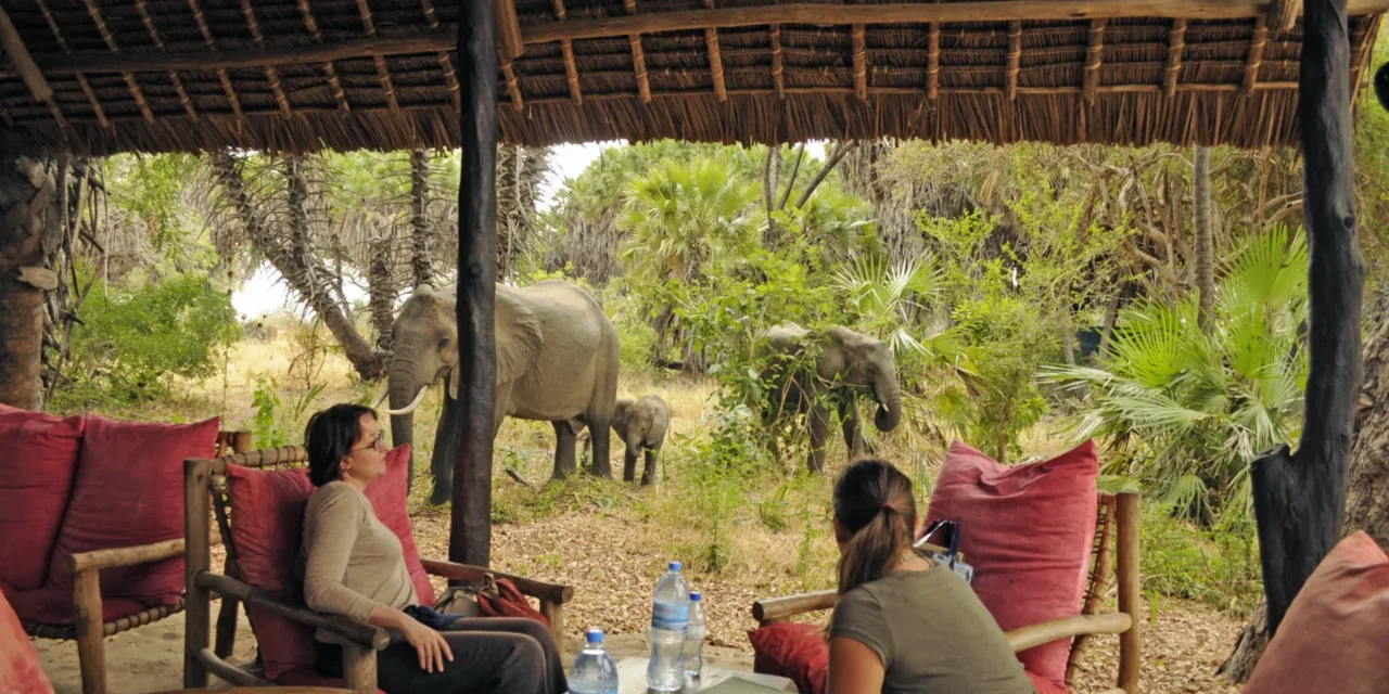 Kenya Safari Cost And Park Fees: Your Budget Guide 2026-2027