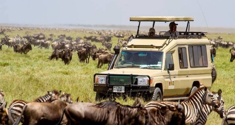 Tanzania Safari Prices from Arusha: Day Trips and Multi-Day Packages