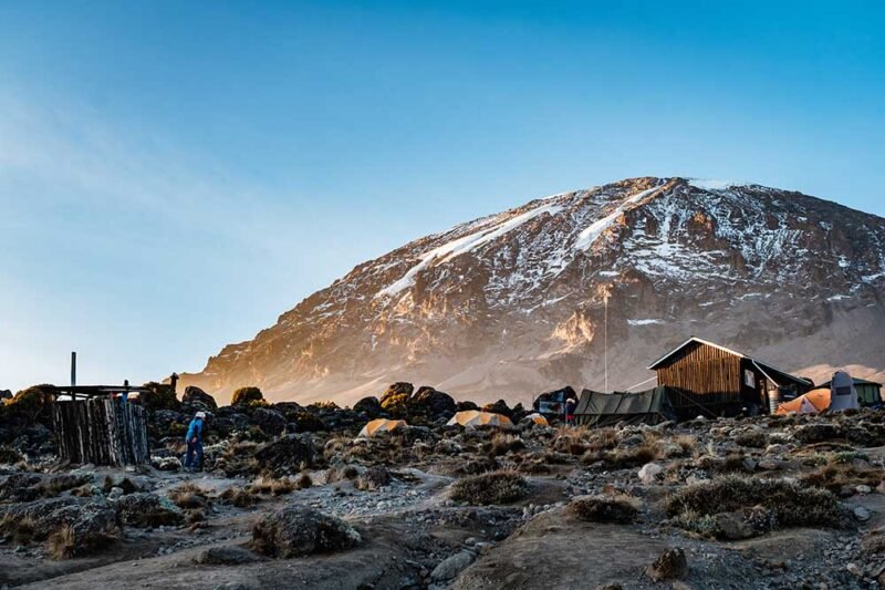 Kilimanjaro Shira Plateau Day Hike From Moshi, Short Trek 2026-2027
