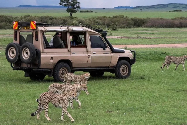 Lake Natron Tour From Moshi: Complete Guide 2026-2027-2028