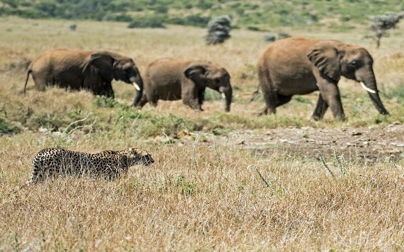 Best 3 Days Tanzania Safari Itinerary and Price 2026–2027