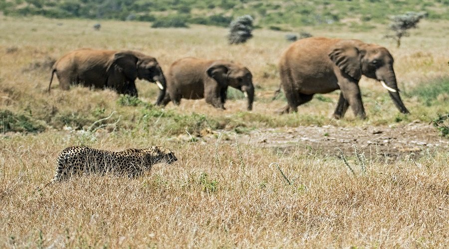 Best 3 Days Tanzania Safari Itinerary and Price 2026–2027