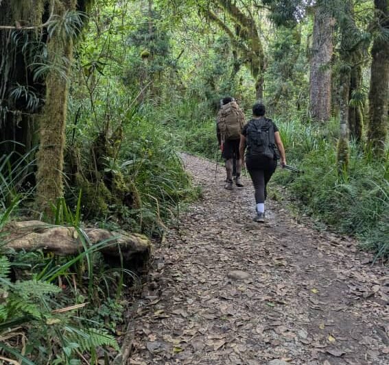 Best Rau Forest Nature Walk From Moshi 2026-2027