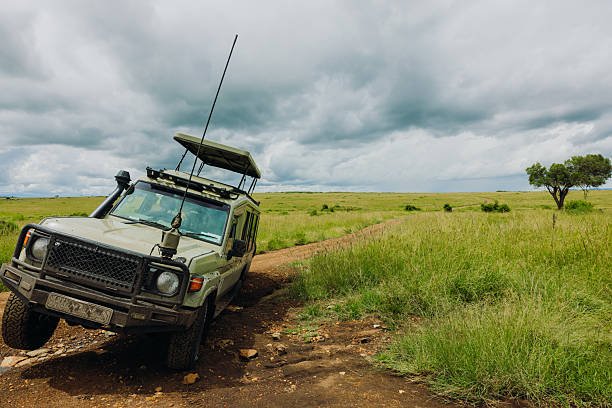 Luxury Nyerere Safari Prices