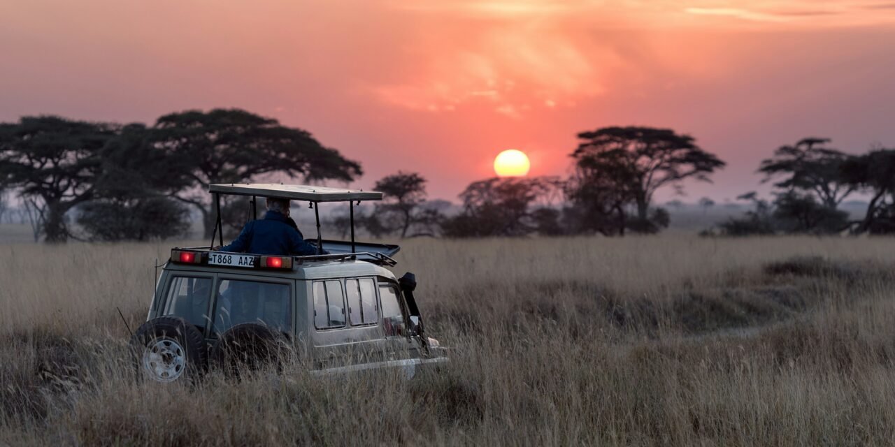 Is East Africa Or Southern Better For Safari? A Comprehensive Comparison