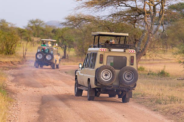 Things To Do In Songea Tanzania 2026-2027
