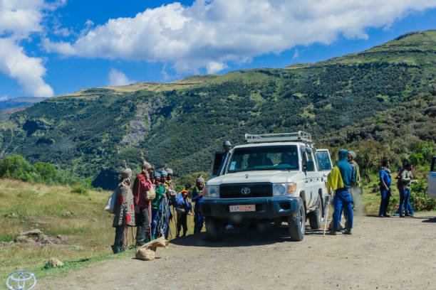 Uganda Gorilla Trekking and Wildlife Safari