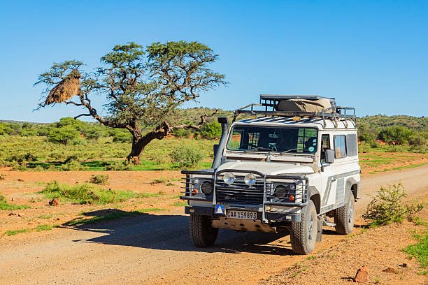 Makao Wildlife Management Area Safari Cost, & Visitor Guide 2026-2027