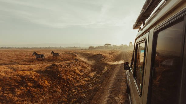 Kitulo Hiking Prices