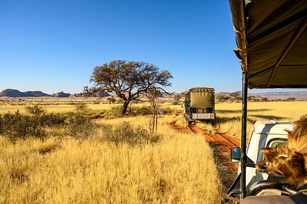 Lake Natron Walking Safari From Moshi: Best Guide 2026-2027-2028