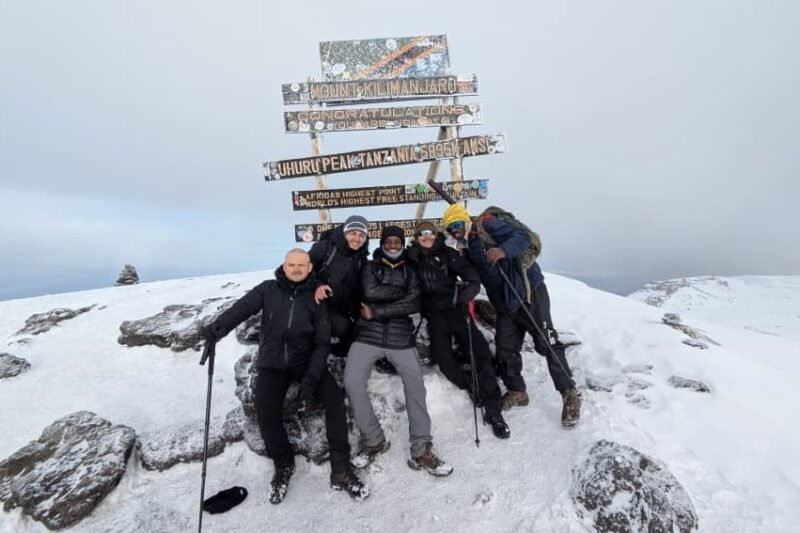 Best 8 Days Lemosho Route Kilimanjaro Climbing, Cost + Itinerary, 2026,2027