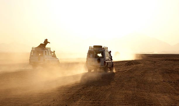 Zanzibar To Nyerere National Park Safari: Your Ultimate Tanzania Adventure
