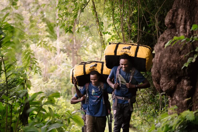 How We Organize Kilimanjaro Airport Transfers and Hotels