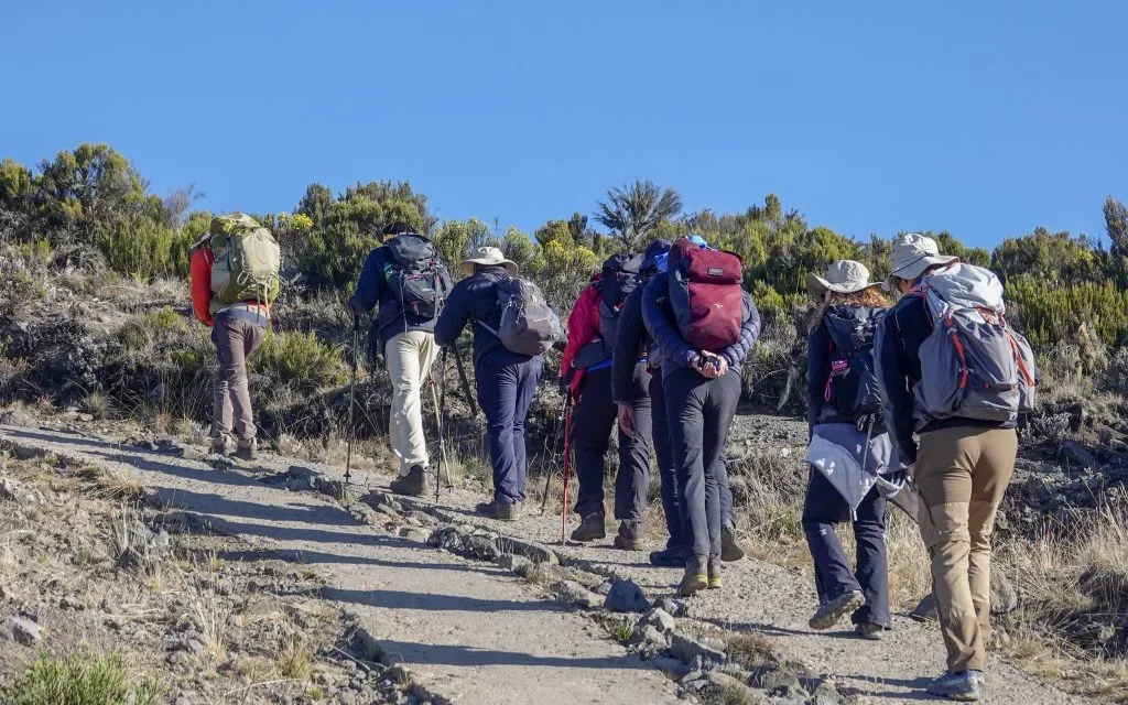 Rongai Route Group Joining Kilimanjaro Tour 2026-2027