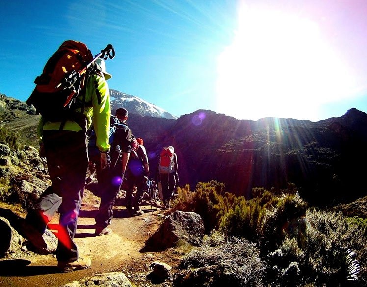Rongai Route Kilimanjaro: 6-Day And 7-Day Packages For 2026-2027