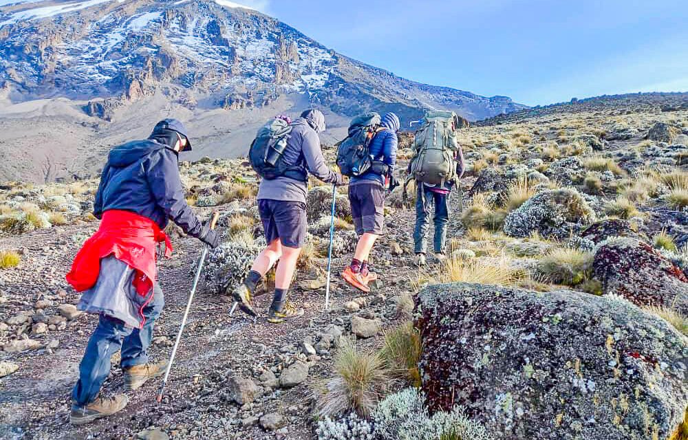 Kilimanjaro Tours For Vegan Travellers 2026-2027