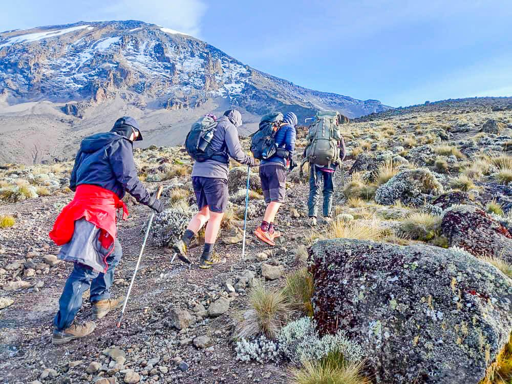 7-Day Vs 8-Day Kilimanjaro Climb: Which Itinerary Is Right For You? 2026-2027