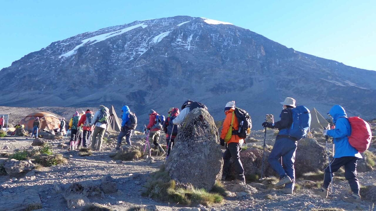 Rongai Route Group Joining Kilimanjaro Tour 2026-2027