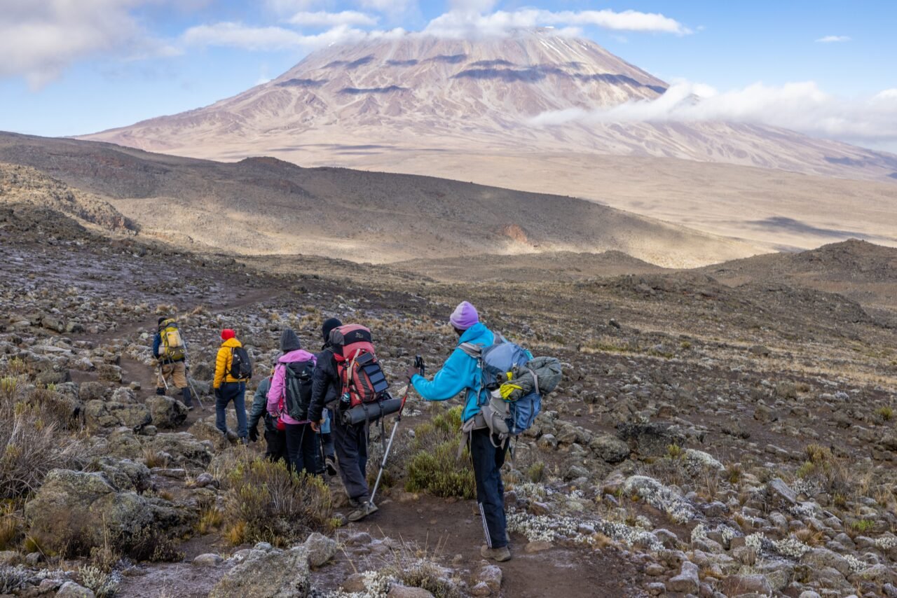 7-Day Kilimanjaro Group Joining Tour Via Machame Route | Top Guide Adventures