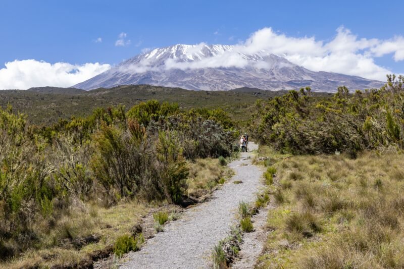 Private Kilimanjaro Climb - Book Guided Summit Trek with Local Mountain Experts