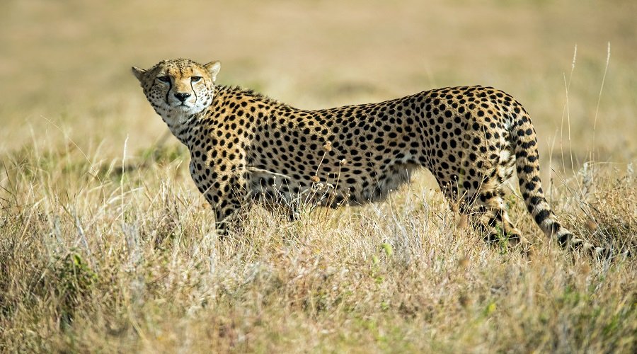Group Joining Lake Manyara family safari group joining price 2026-2027