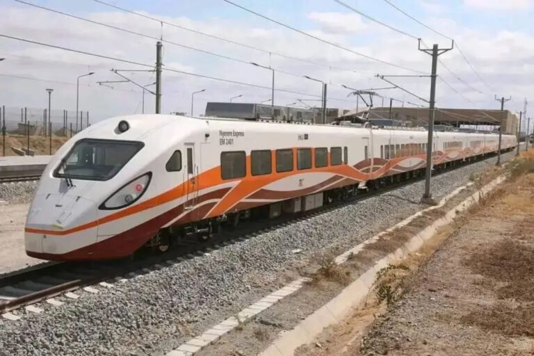 3 days Mikumi safari package by SGR train