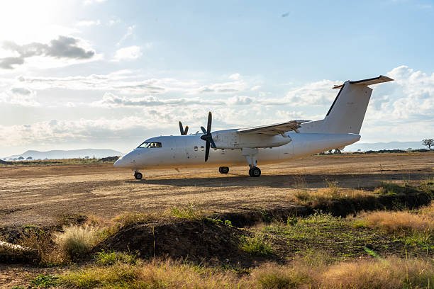 Best 3-Day Safari Tanzania From Zanzibar: Your Ultimate Itinerary Guide