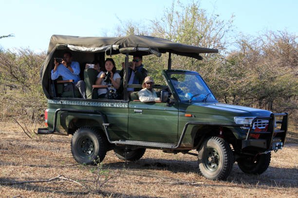 Best Bongo Music to Listen During Tanzania Safari