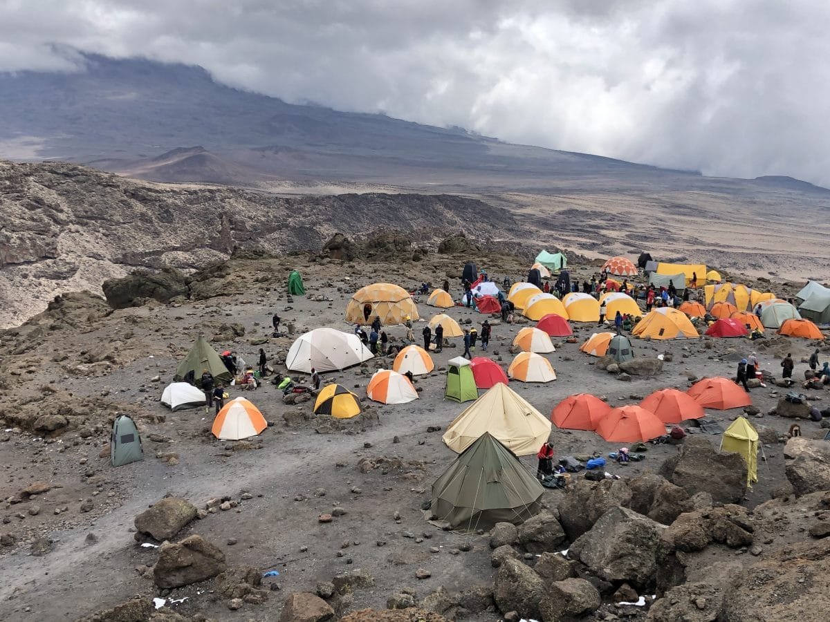 Machame Route Success Rate And Acclimatization Profile For Kilimanjaro Climbs