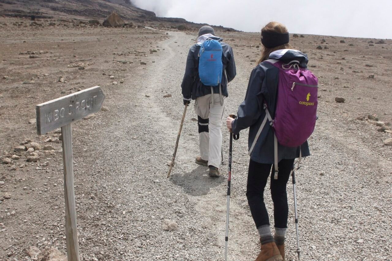 7-Day Lemosho Route Kilimanjaro Climb 2026-2027