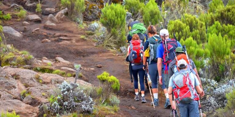 🔥 Luxury Kilimanjaro Tours: Premium Tents, Meals and Support