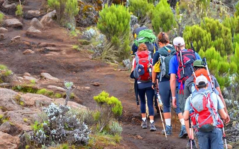 Best 9 days Northern Circuit Kilimanjaro climb itinerary and price 2026-2027