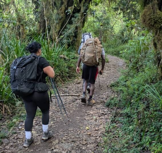 Join 6 Days Machame Route – 29 December 2026 Departures | Year-End Kilimanjaro