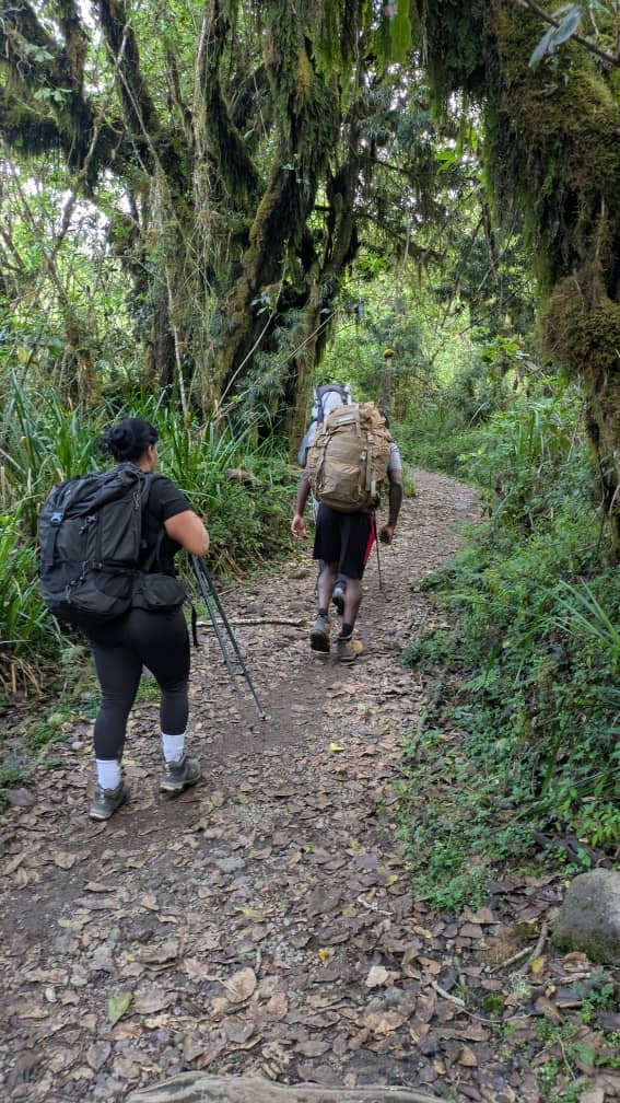 Join 6 Days Rongai Route – 24 December 2026 Departure | Holiday Kilimanjaro Cl