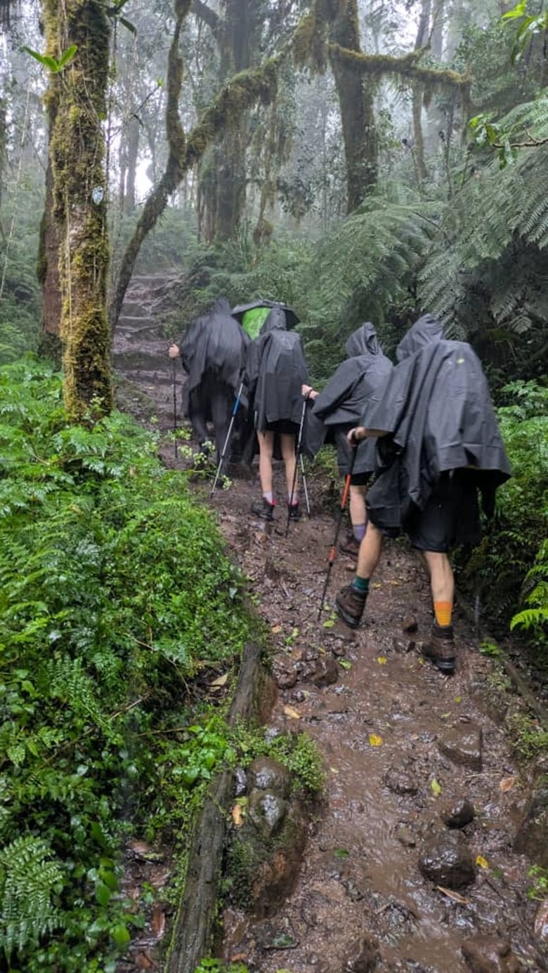 Join 6 Days Marangu Route – 23 December 2026 Departures | Festive Kilimanjaro