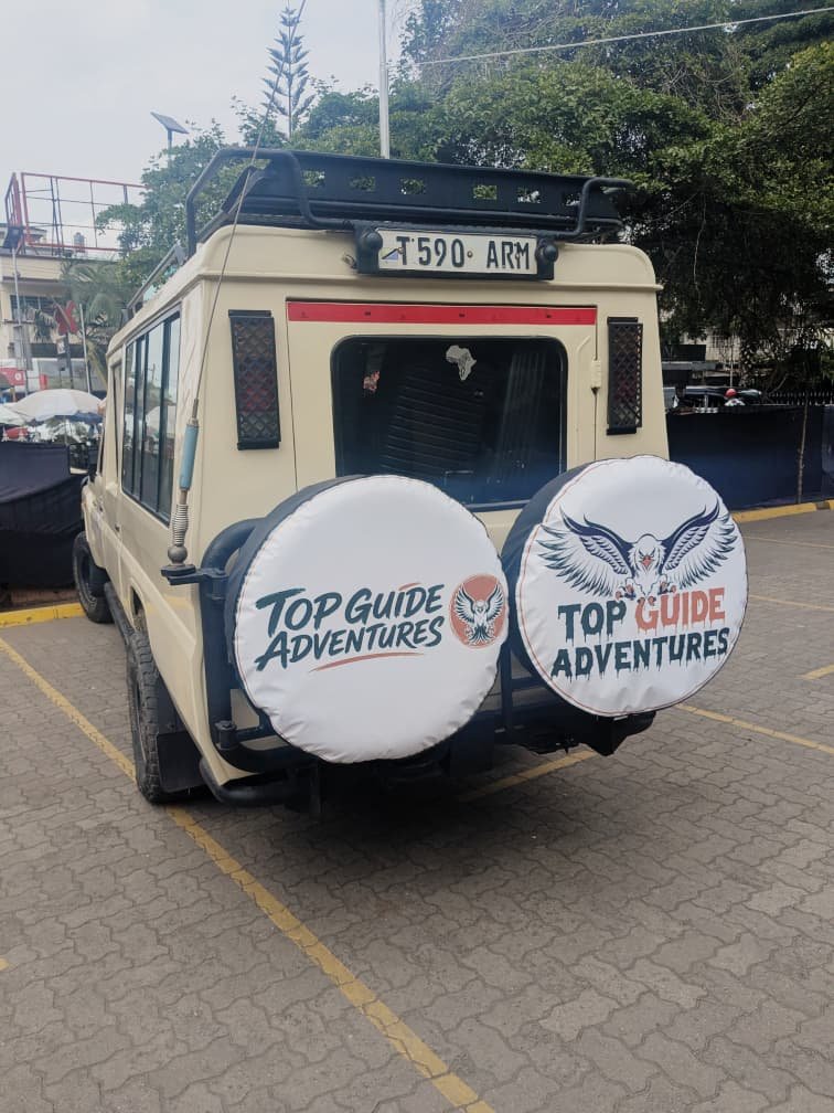 Mkomazi Safari Prices