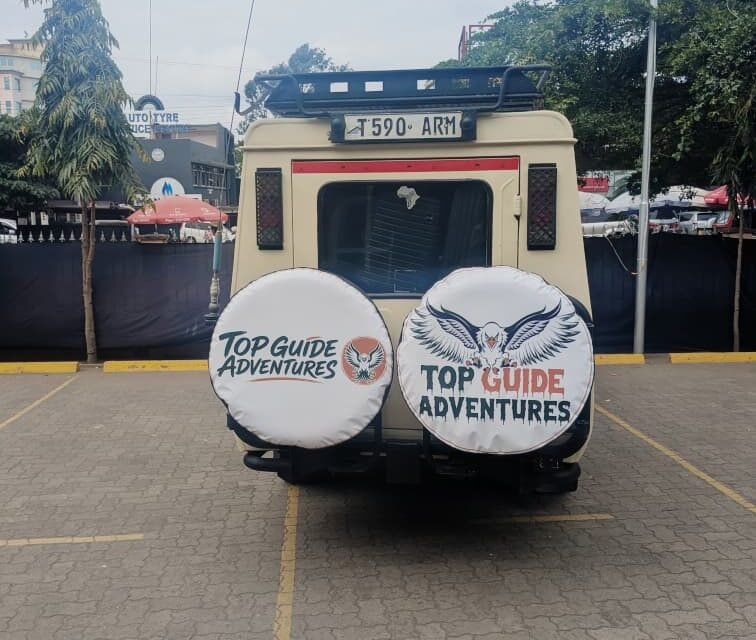 How To Travel From India To South Africa 2026-2027