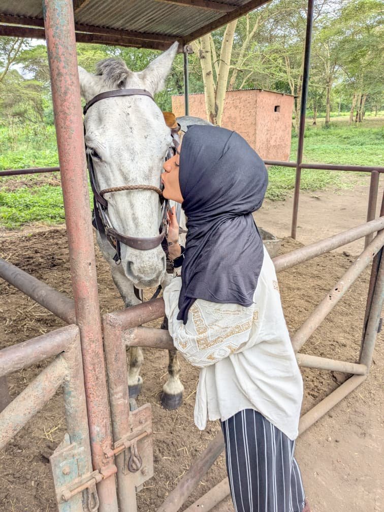 1 Day Kilimanjaro Horse Riding Tour - Before Or After Trek 2026-2027