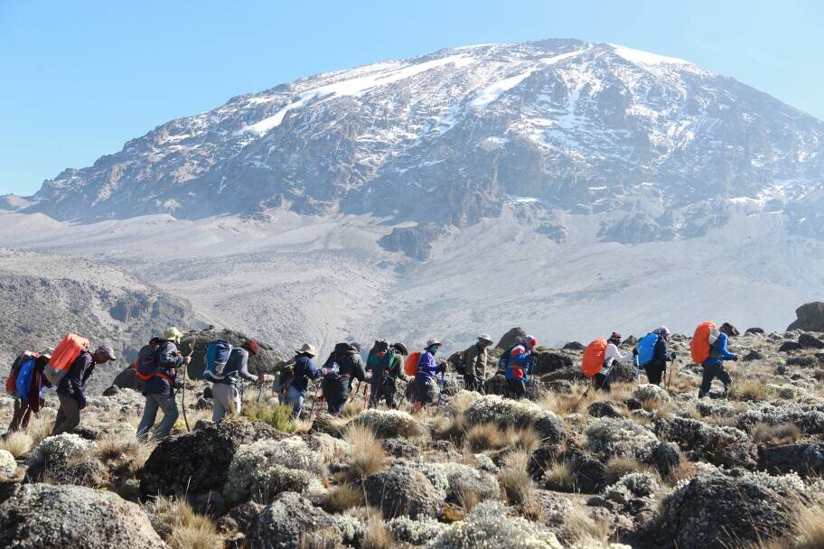 Kilimanjaro Group Tour Prices Vs Private Climb Prices Guide