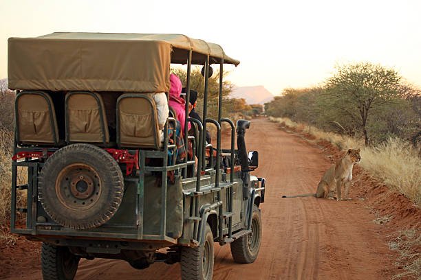How To Travel From Botswana To Zambia: Routes, Tips & Guide 2026-2027